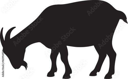 Black silhouette of a goat with horns grazing on a white background animal farm