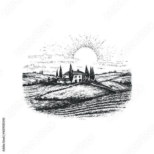 Sketch of sunlit vineyard landscape with farmhouse and cypress trees