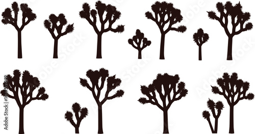 Joshua Tree Vector Collection