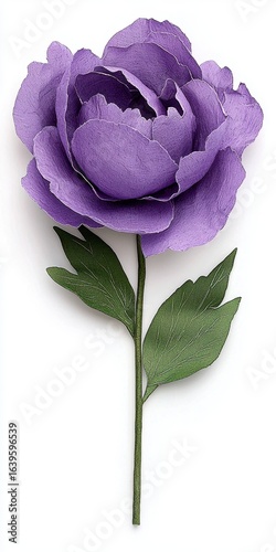 Close Up of a Single Purple Peony with Green Leaves on White Background, Generative AI