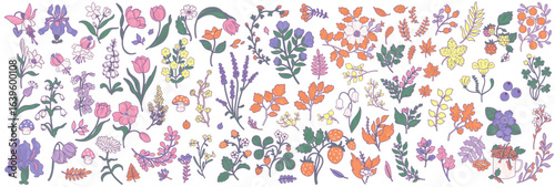 Folk clipart set of 93 botanical floral illustrations of plants, berries and flowers for card design. Cozy spring and summer bundle.
