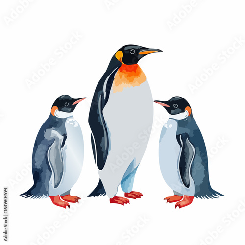Beautiful watercolor illustration penguins, arctic tern. Hand drawn image of antarctic birds.