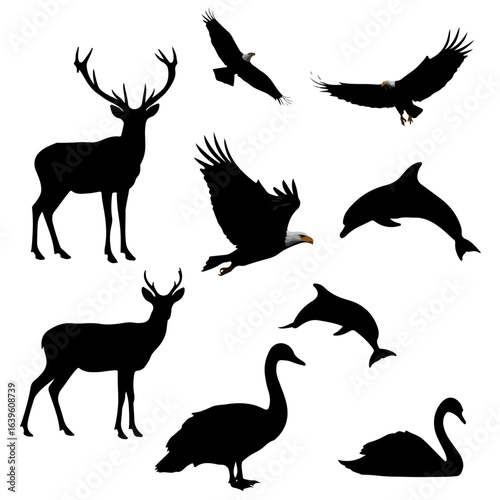 Beautiful Silhouette Images: A Guide to Photography, Art & Inspiration