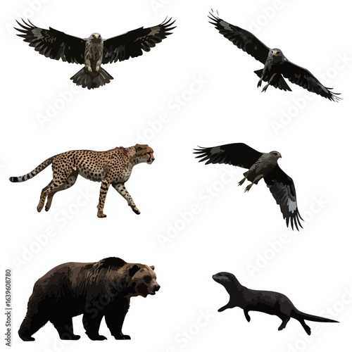 Beautiful Silhouette Images: A Guide to Photography, Art & Inspiration