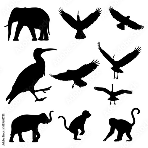 Beautiful Silhouette Images: A Guide to Photography, Art & Inspiration