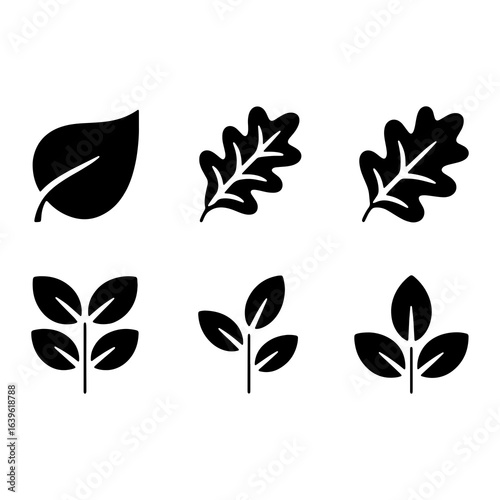 Various Leaf Icons leaves oak leaf