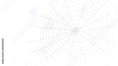 Delicate spiderweb glistening with morning dew, creating a mystical nature scene, perfect for adding a touch of intrigue and natural beauty to your designs