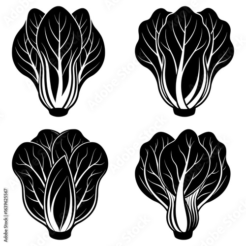 Four stylized black and white bok choy heads with detailed leaf venation arranged symmetrically on white