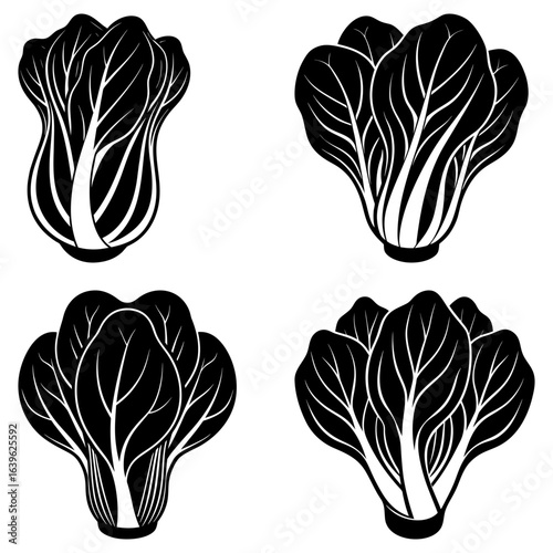 Four black and white bok choy illustrations with detailed leaf patterns on a white background design element
