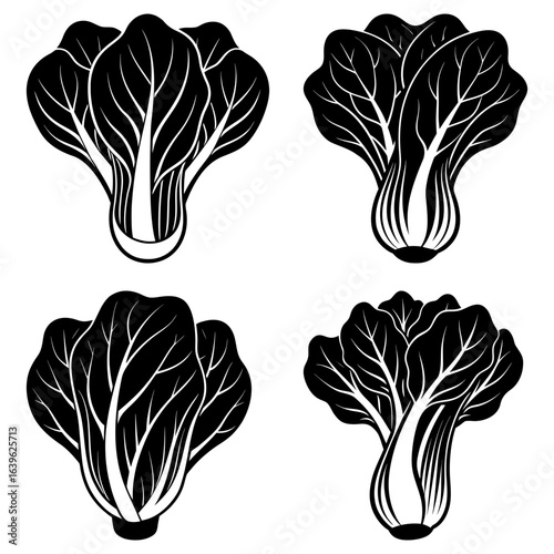 Four bok choy heads in black and white with detailed leaf venation and stem structures in a pattern design