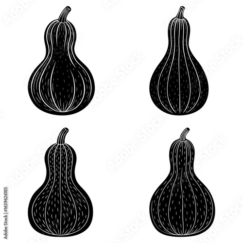Four black and white butternut squash drawings arranged in a square pattern on a white background image