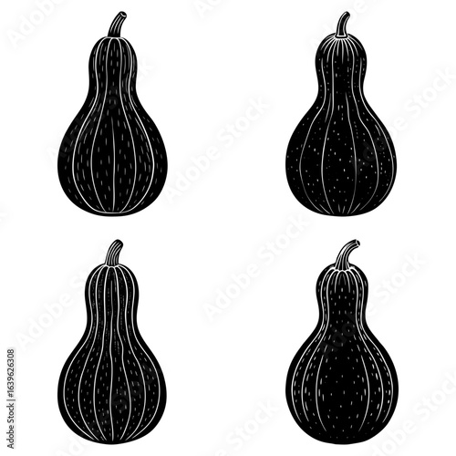 Four stylized black and white butternut squash illustrations arranged in a square pattern on white