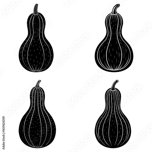 Four stylized black and white butternut squash illustrations arranged in a square pattern on white