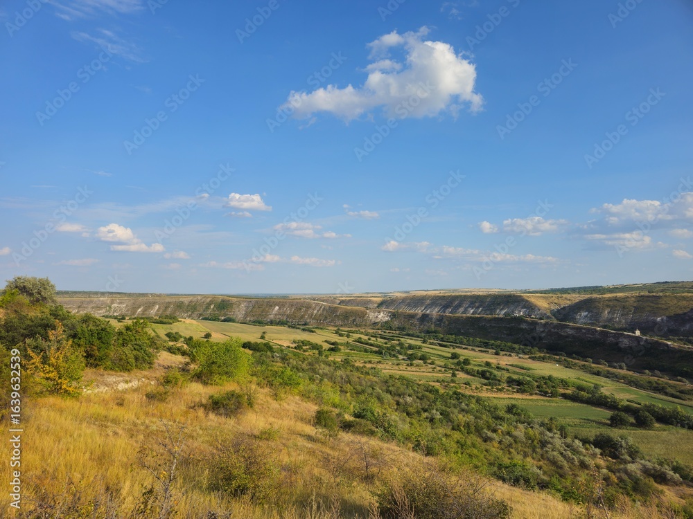Naklejka premium A landscape with hills and trees