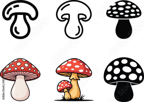 Collection of mushroom illustrations isolated on transparent background