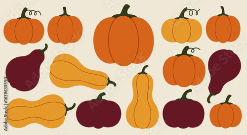 Harvesting autumn's bounty colorful pumpkins and squash collection outdoor market still life warm atmosphere. Vector illustration