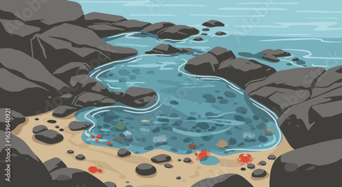 Exploring rocky tide pools coastal shoreline digital illustration natural environment aerial view marine life. Vector illustration