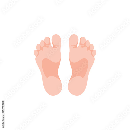 Human feet sole vector illustration in flat style. Perfect for anatomy diagrams, reflexology charts, medical education, foot massage guides, podiatry designs, healthcare materials and wellness graphic