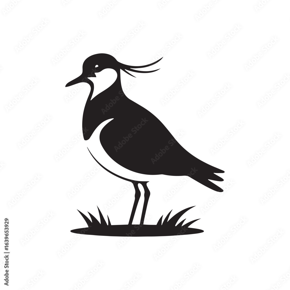 Fototapeta premium Elegant Lapwing Bird Vector Silhouette Artwork Featuring Graceful Crest and Distinctive Wing Patterns, Perfect for Nature-Inspired Designs, Wildlife Illustrations, Ornithology Projects, and Artistic D