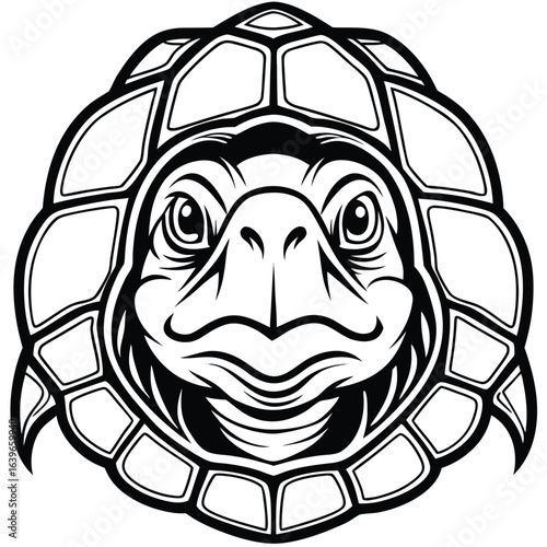 Vector art of detailed illustration of a turtle head, isolated on white background