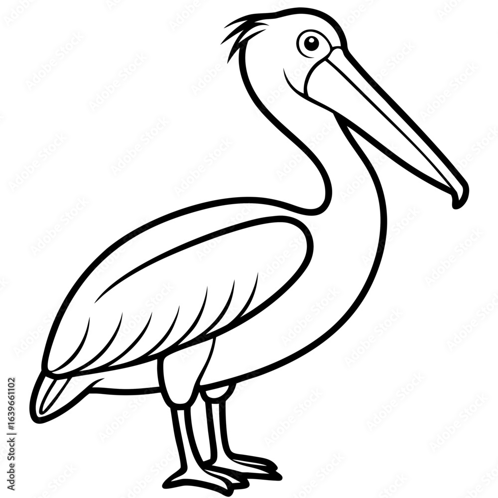 Fototapeta premium Pelican line art vector