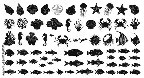 Collection of Silhouetted Marine Life and Ocean Flora Including Shells Corals Starfish Jellyfish Seahorses Crabs and Diverse Fish Species Representing the Richness of the Underwater World