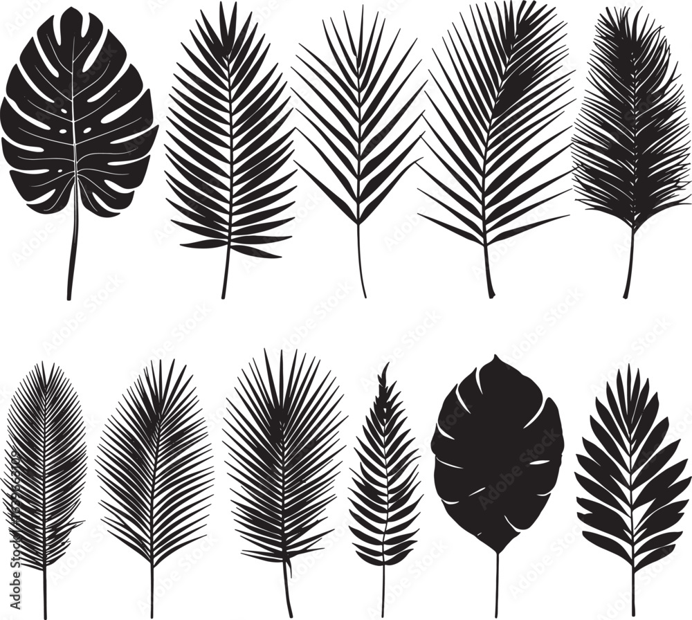 Fototapeta premium Black Leaf Silhouettes | High-Quality Leaf Illustrations