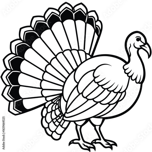 Illustration of a male turkey with its tail feathers fanned out, isolated on white background