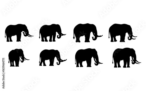 Set of Elephant Silhouettes in Different Positions