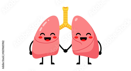 Understanding the Human Respiratory System and How Lungs Function to Facilitate Breathing and Gas Exchange