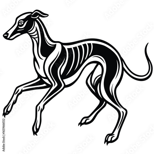 Vector art of elegant greyhound dog with visible ribs, stylized illustration of speed and form