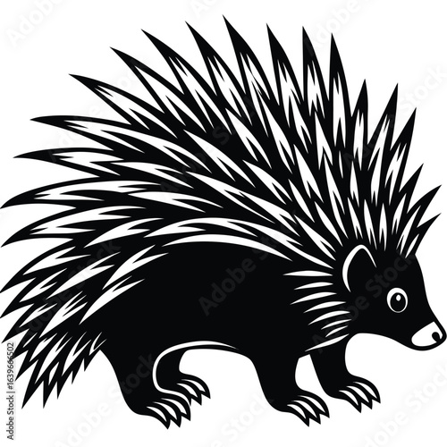 Vector art of porcupine animal isolated on white background, black and white illustration