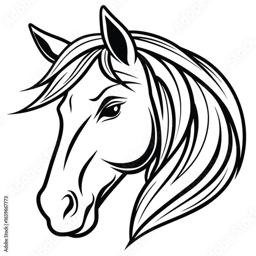 Vector art of horse head illustration isolated on white background