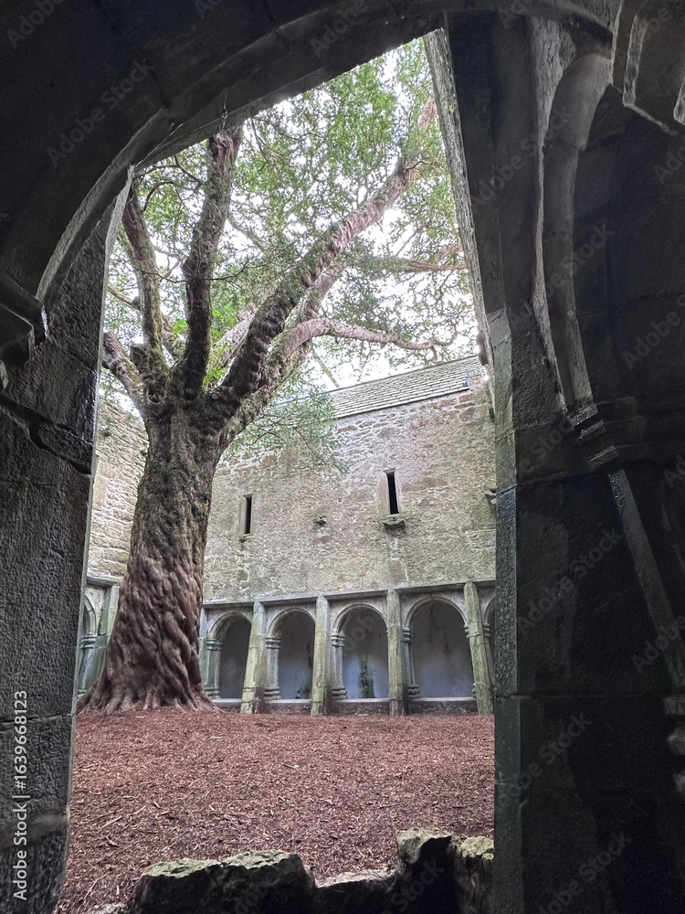 Naklejka premium old stone church, Killarney 