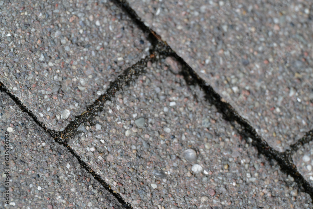 Obraz premium Outdoor pavement with stone cement tiles sealed with resin in joints
