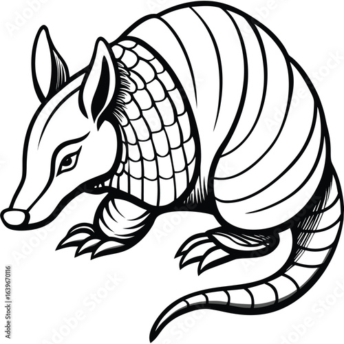 Vector art of armadillo illustration isolated on white background