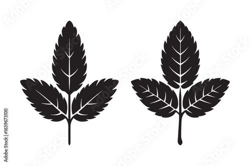 Mint Leaf Sprig Two Variations Black Silhouette Vector - Botanical Herb Illustration