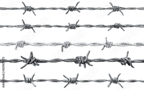 Multiple parallel lines of barbed wire