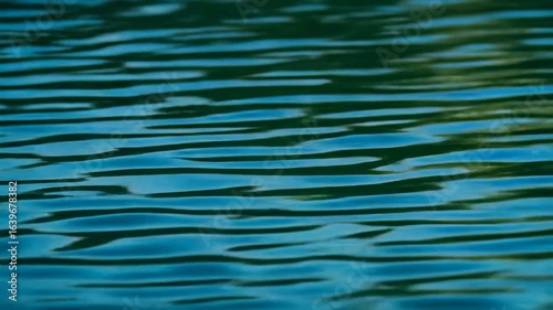 Serene Teal Water Texture: Ripples and Reflections