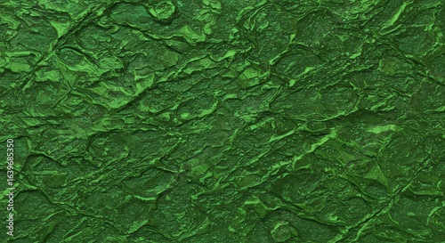 Close-up of Green Textured Rock Surface with Natural Lighting for Landscape and Nature Photography