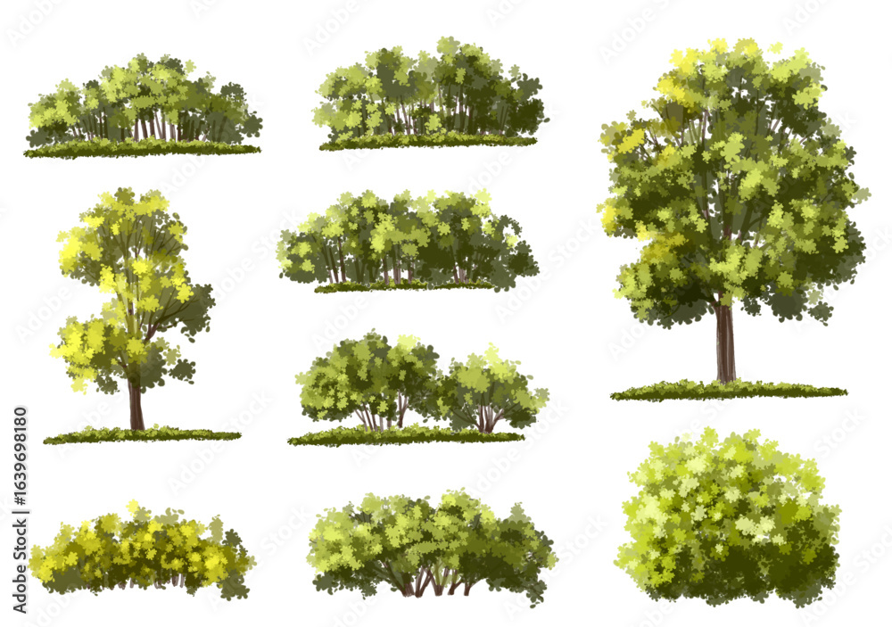 Fototapeta premium Vector of green tree side view isolated on white background ,watercolor tree elevation for landscape concept,environment scene,eco design, garden for spring