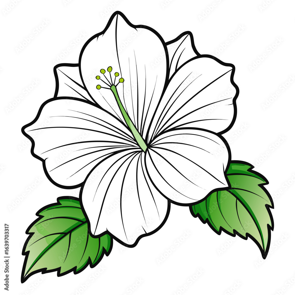 Fototapeta premium mallow line art vector isolated on white