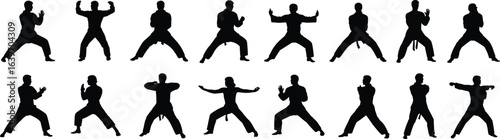 Martial arts silhouette poses collection, 15 dynamic stances, karate, taekwondo, kung fu, self defense, combat training, vector illustration