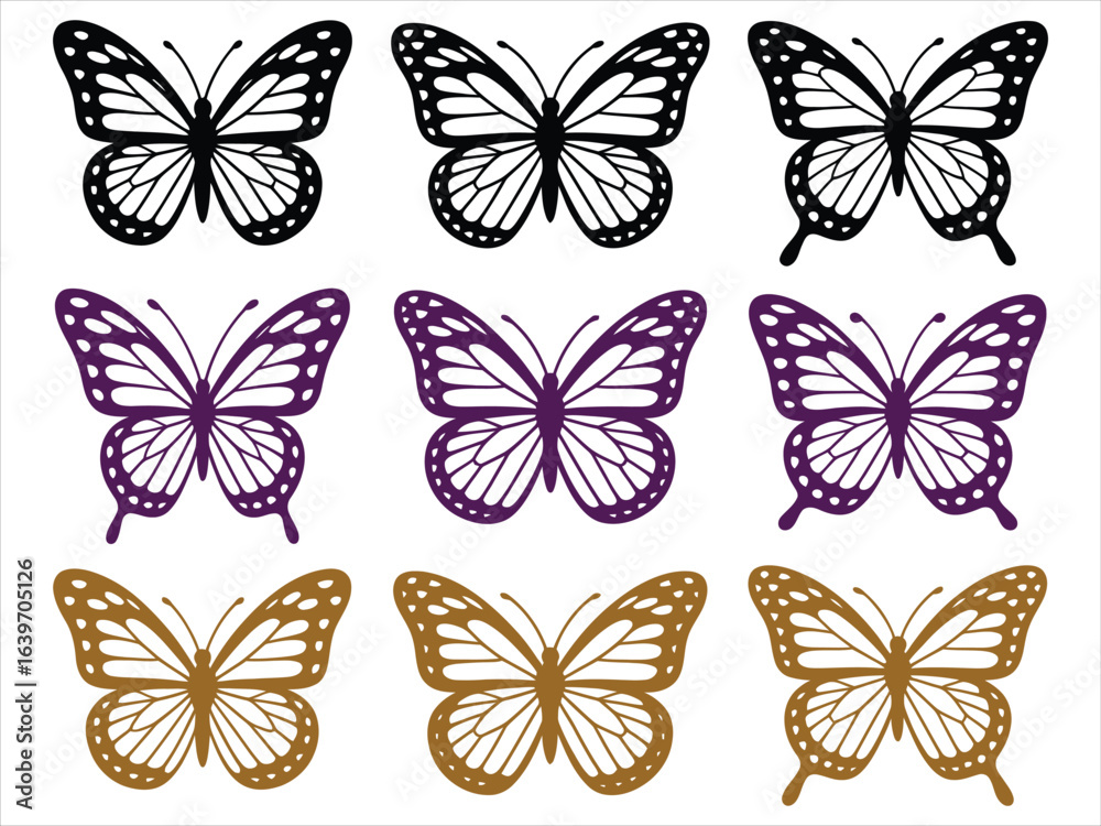 Obraz premium Black purple brown butterflies butterfly insect