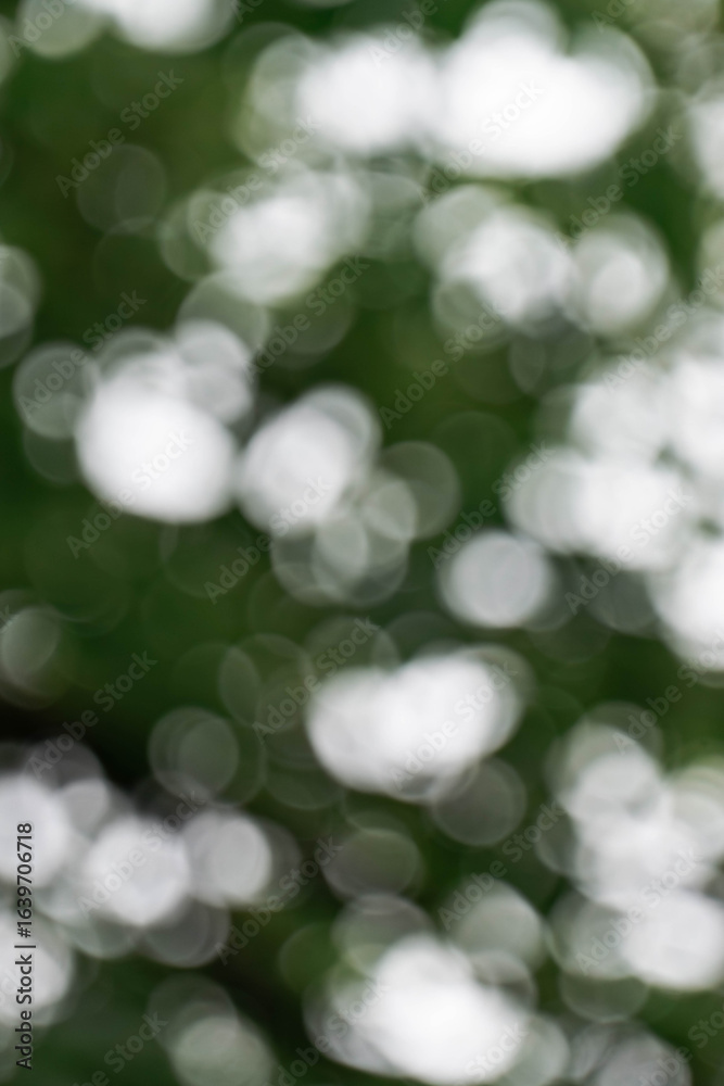 Obraz premium Green bokeh nature background