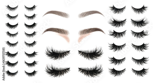 Shop false eyelashes online best beauty lashes for your eyes