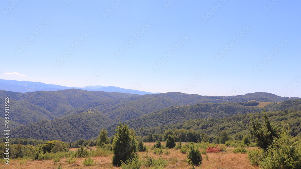Fototapeta premium autumn landscape with mountains