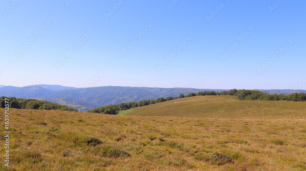 Fototapeta premium autumn in the mountains