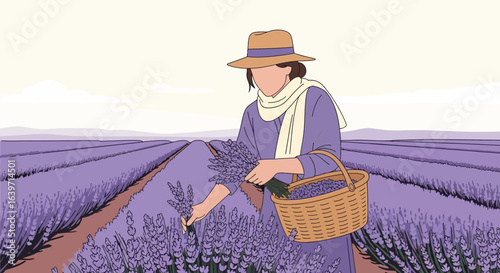 Illustrative depiction of lavender harvest in a serene countryside field