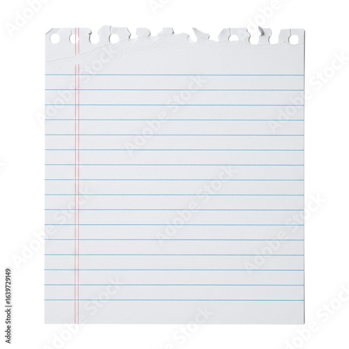 Fotografi Torn sheet of lined notebook paper for school or notes